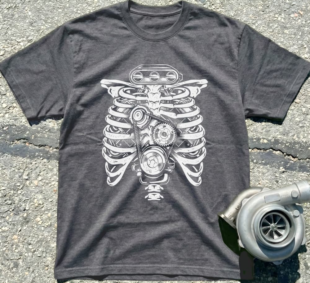 Anatomical Ribcage