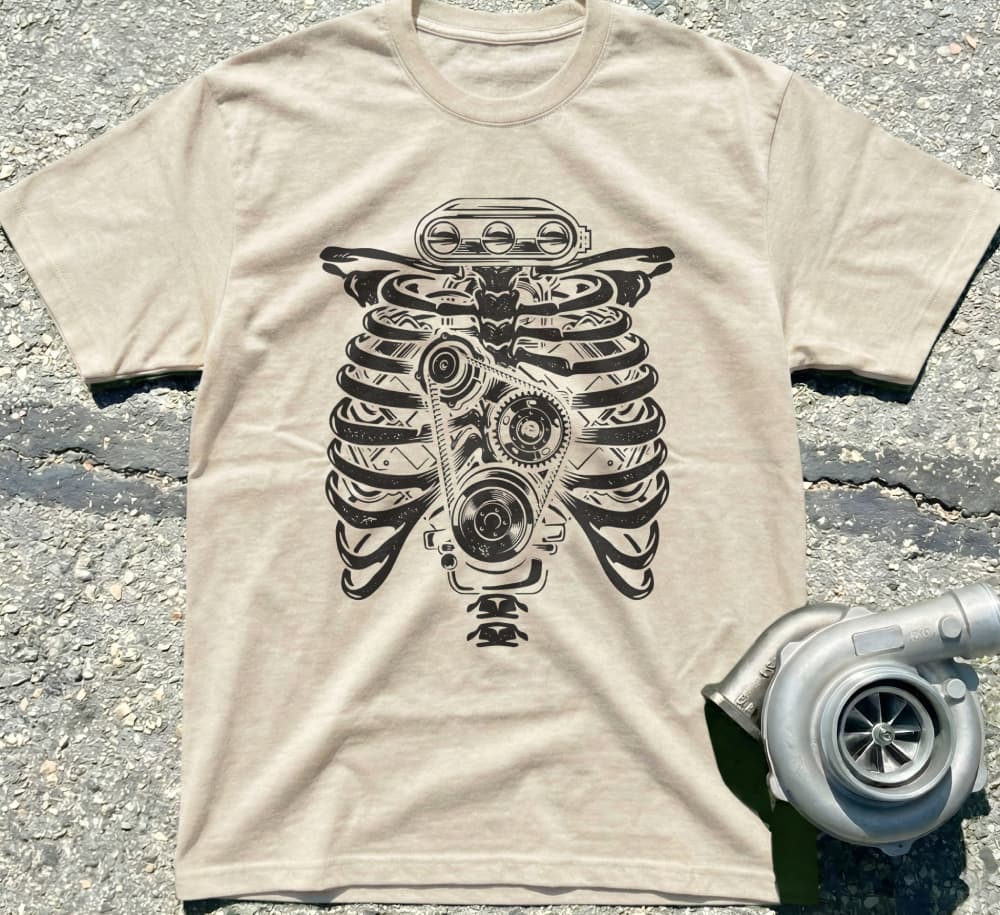 Anatomical Ribcage