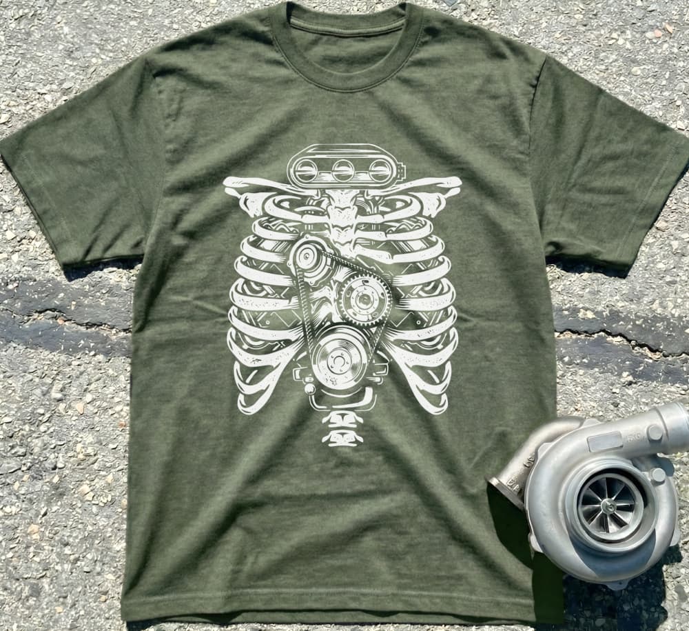 Anatomical Ribcage