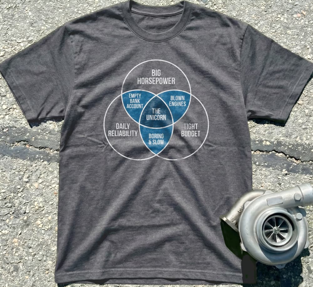 The Unicorn Hunt