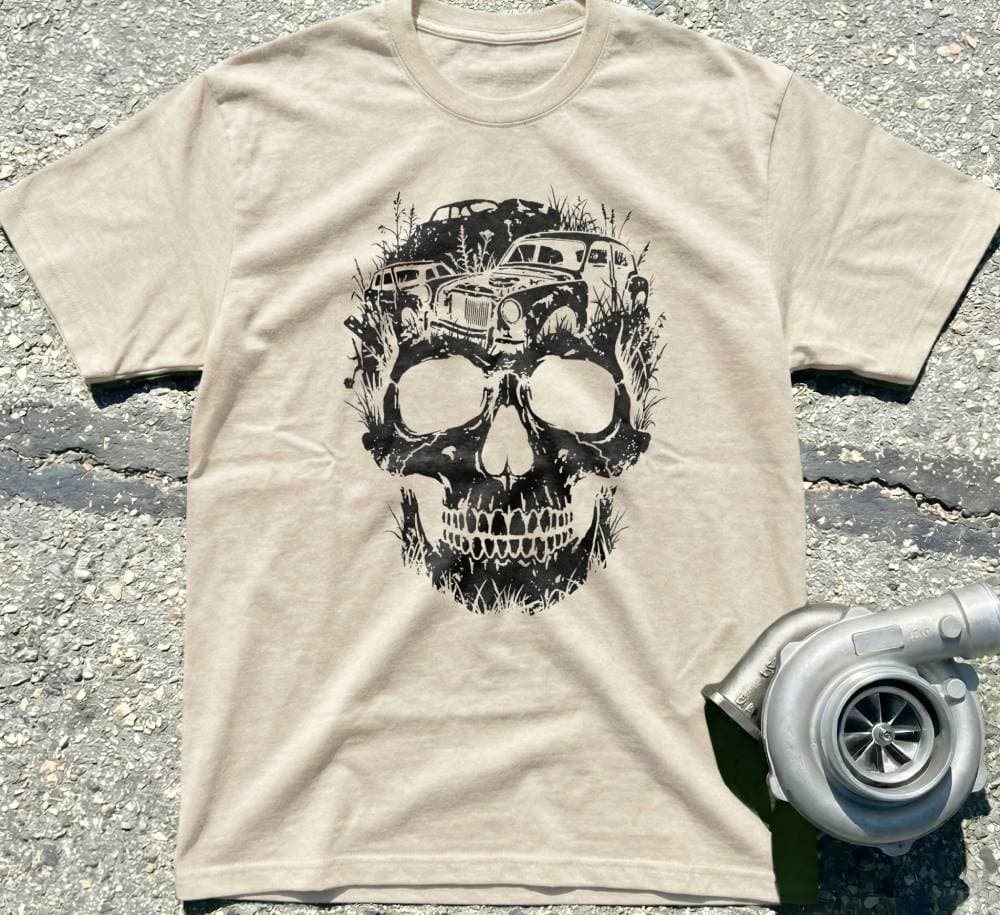 Project Cars Skull