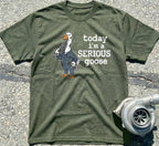 Serious Goose