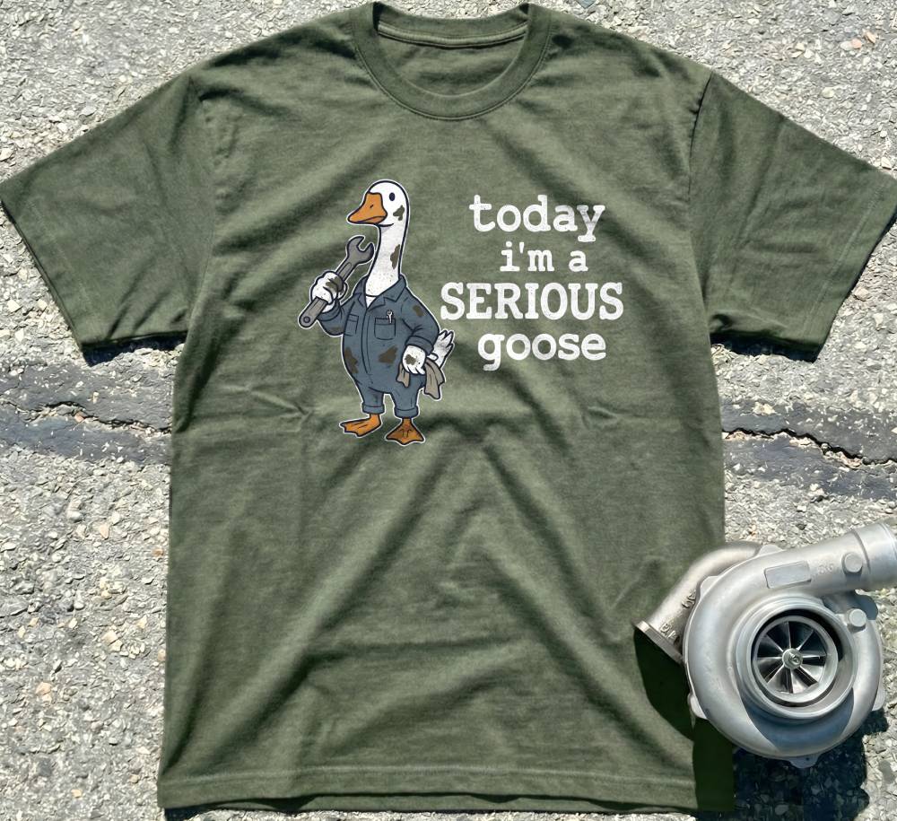 Serious Goose