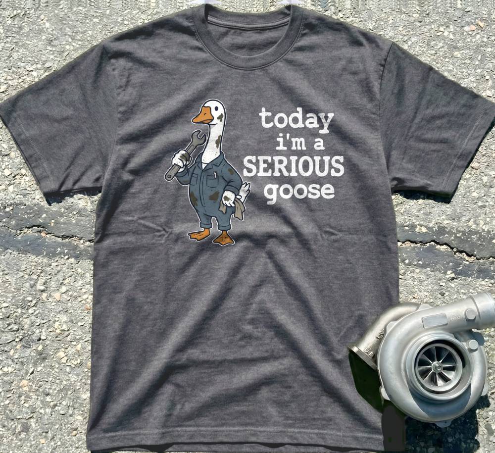 Serious Goose
