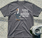 Serious Goose