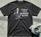Serious Goose