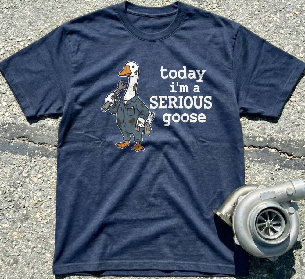 Serious Goose