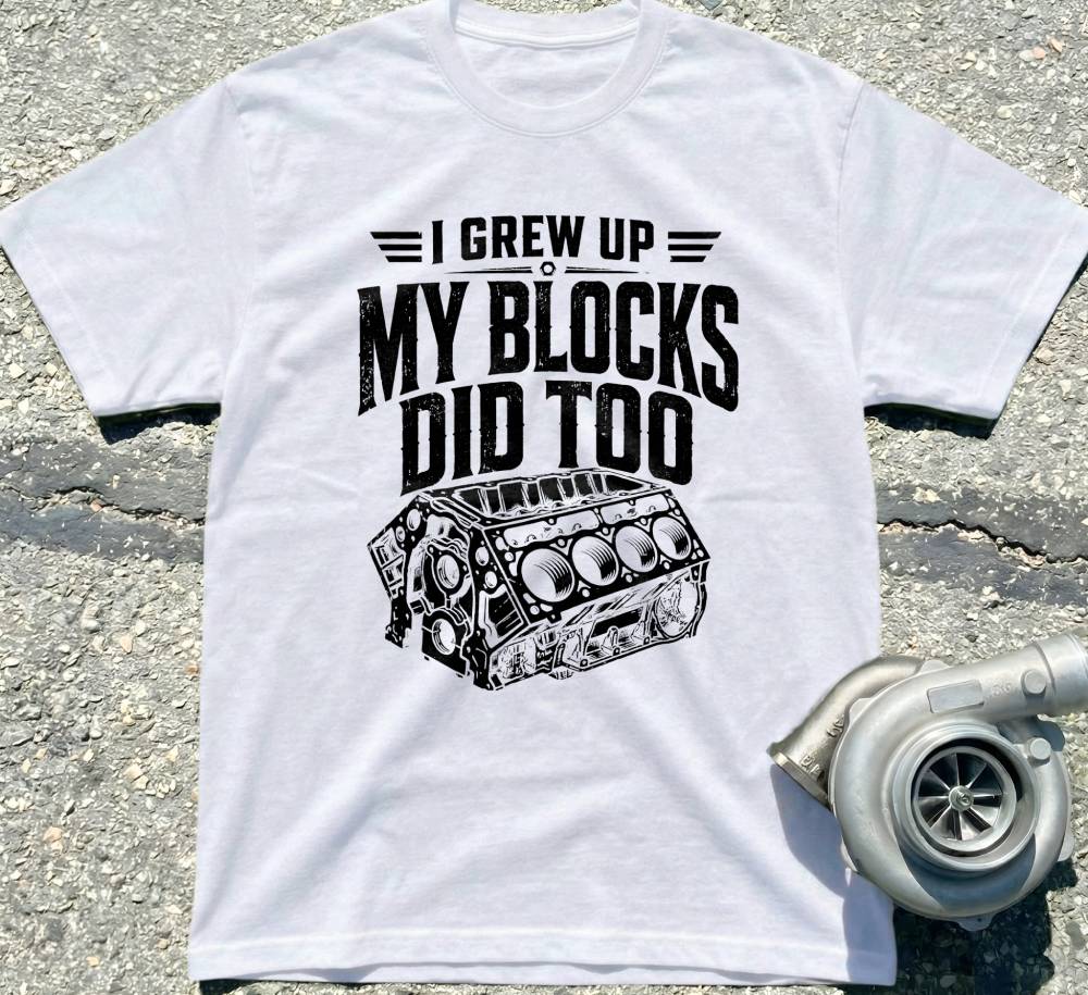 I Grew Up, My Blocks Did Too