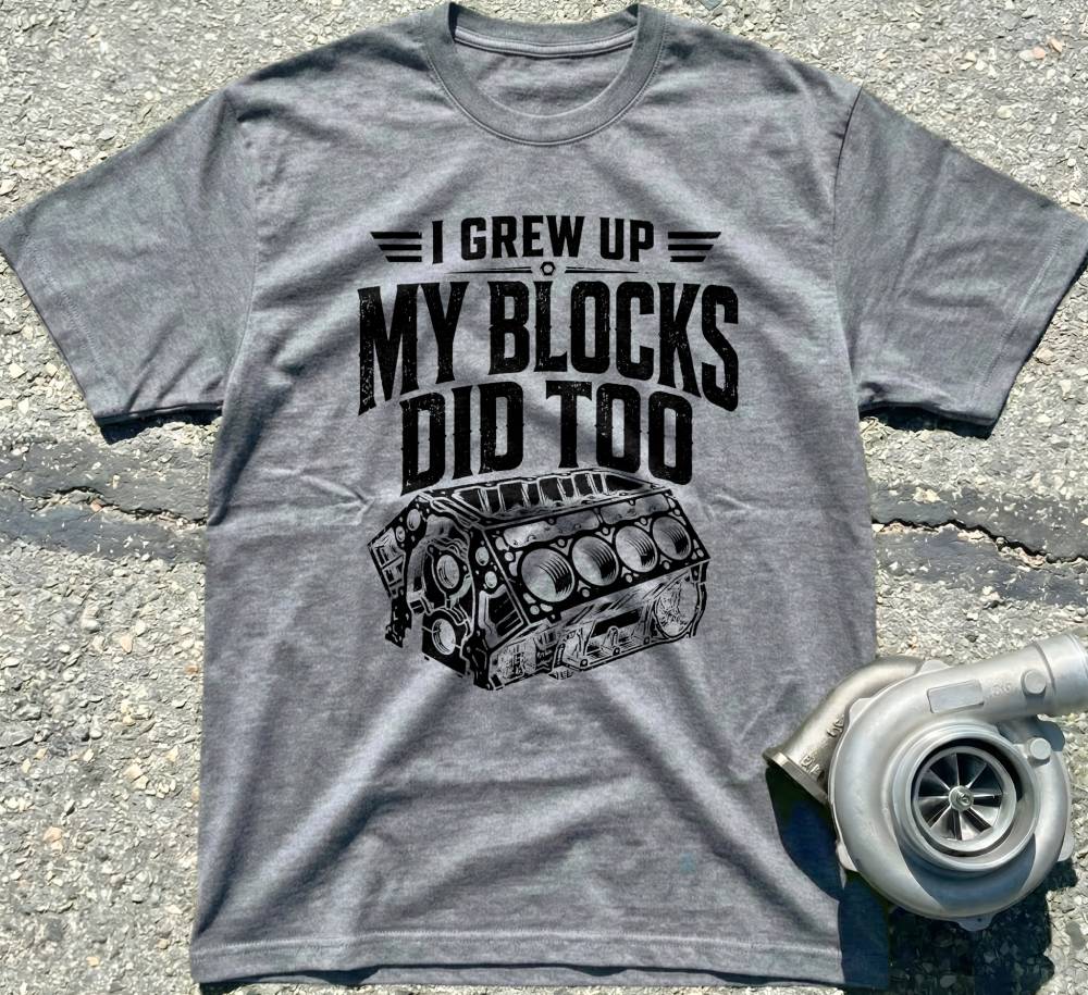 I Grew Up, My Blocks Did Too