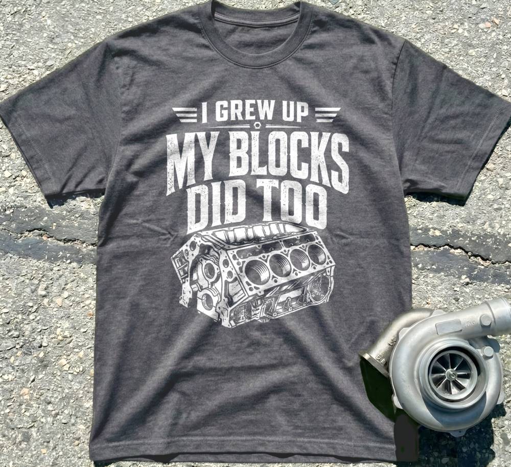 I Grew Up, My Blocks Did Too