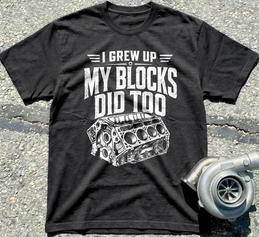 I Grew Up, My Blocks Did Too