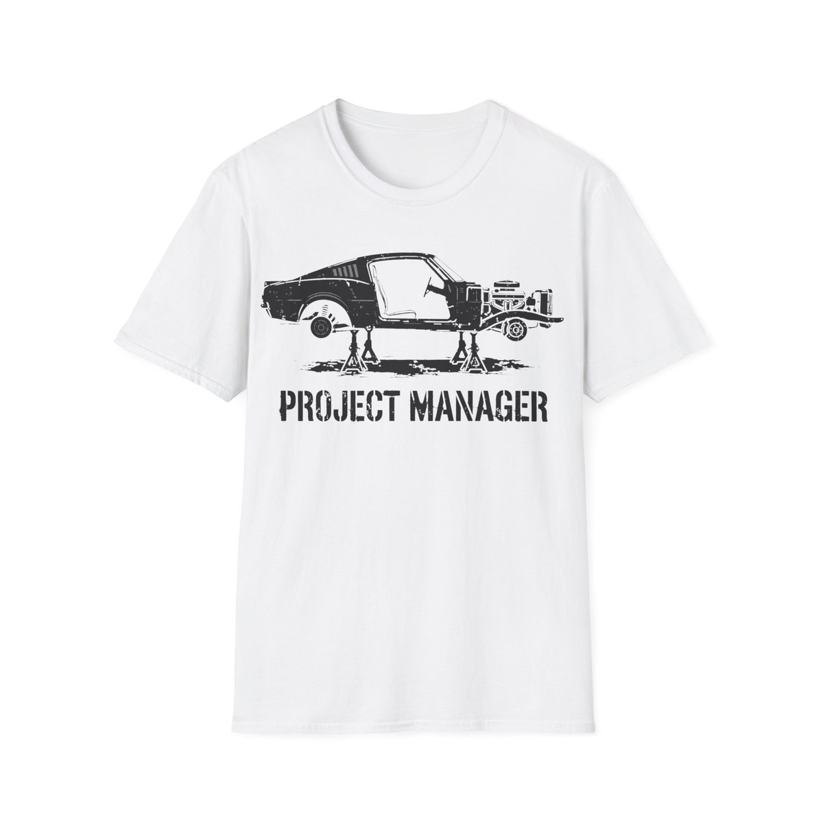 Project Manager